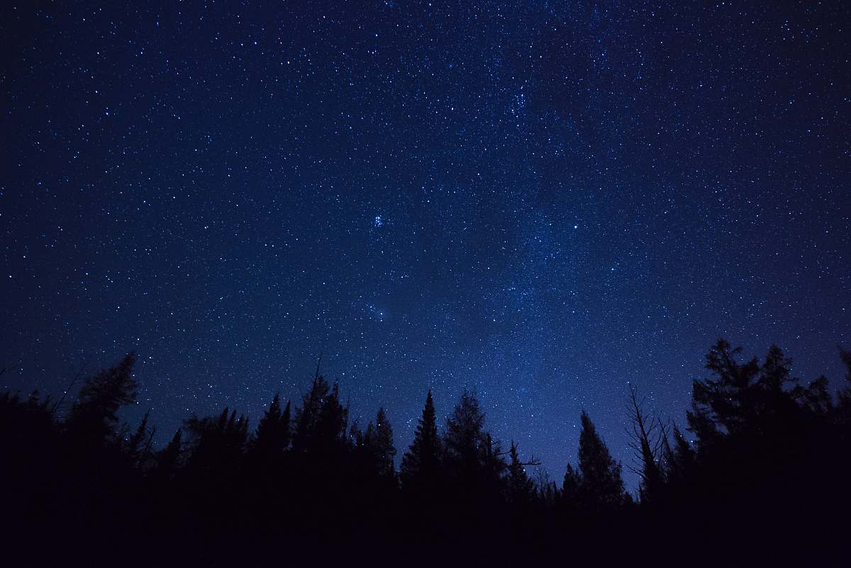 lake placid silhouette of pine trees united states